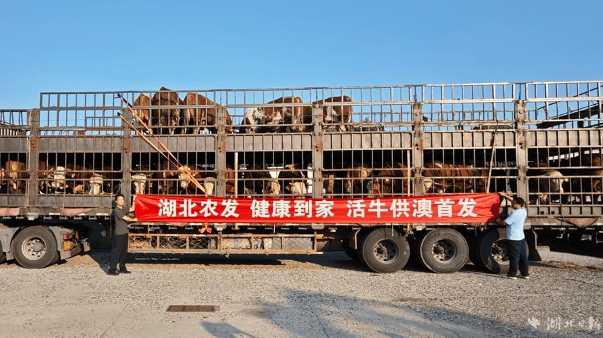 顺利特种养殖